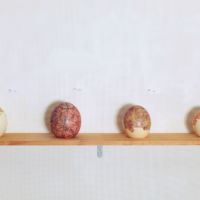 「くき」「いちじく」「ふじつぼ」「ほ」